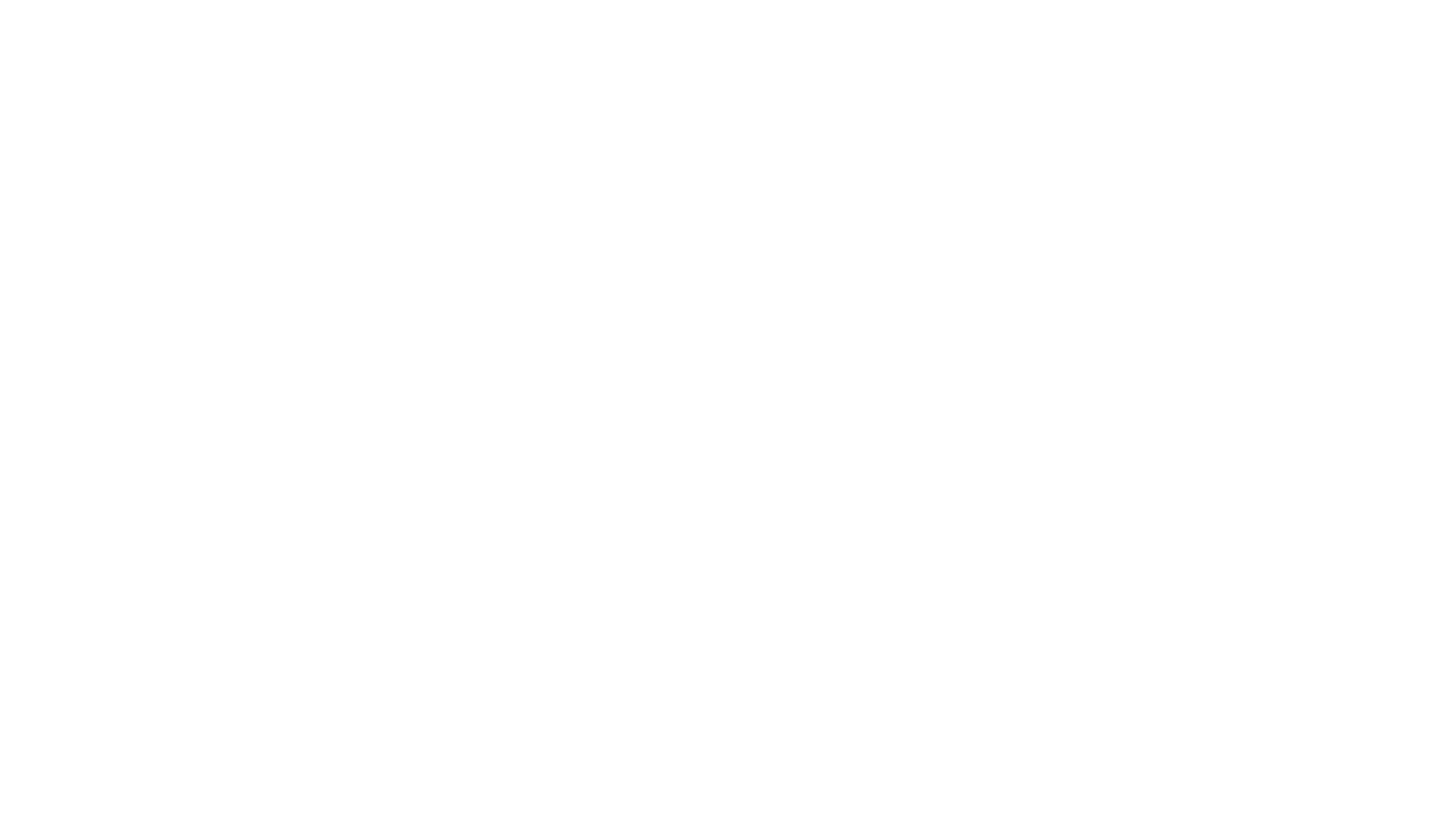 Fantic